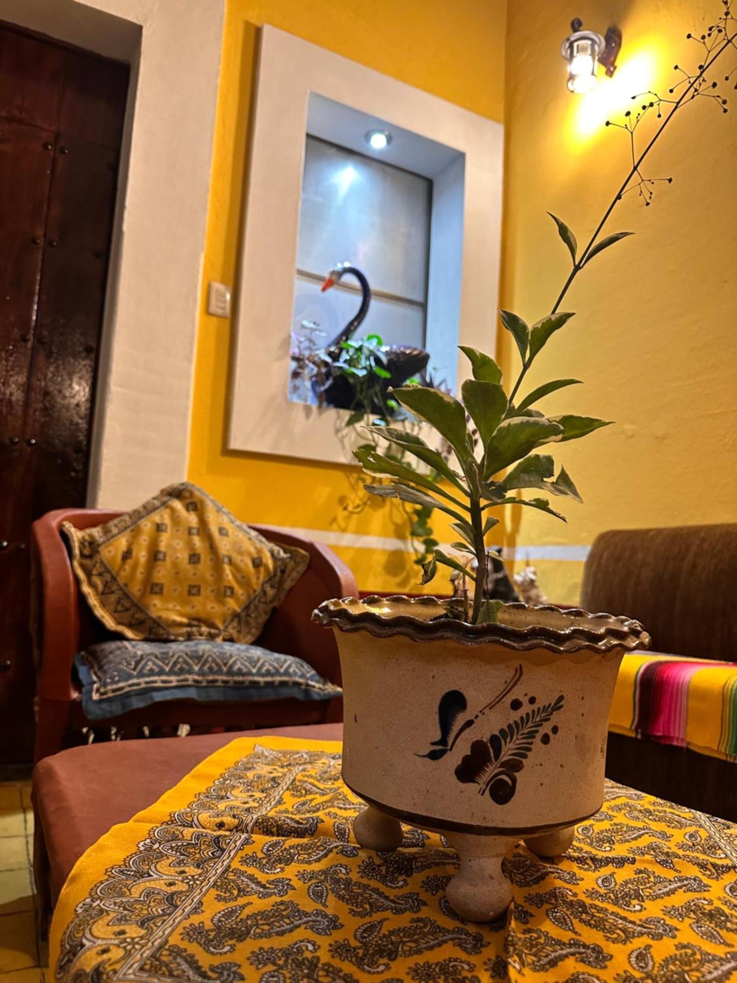 Copa De Oro Hotel Boutique Маскота Екстериор снимка