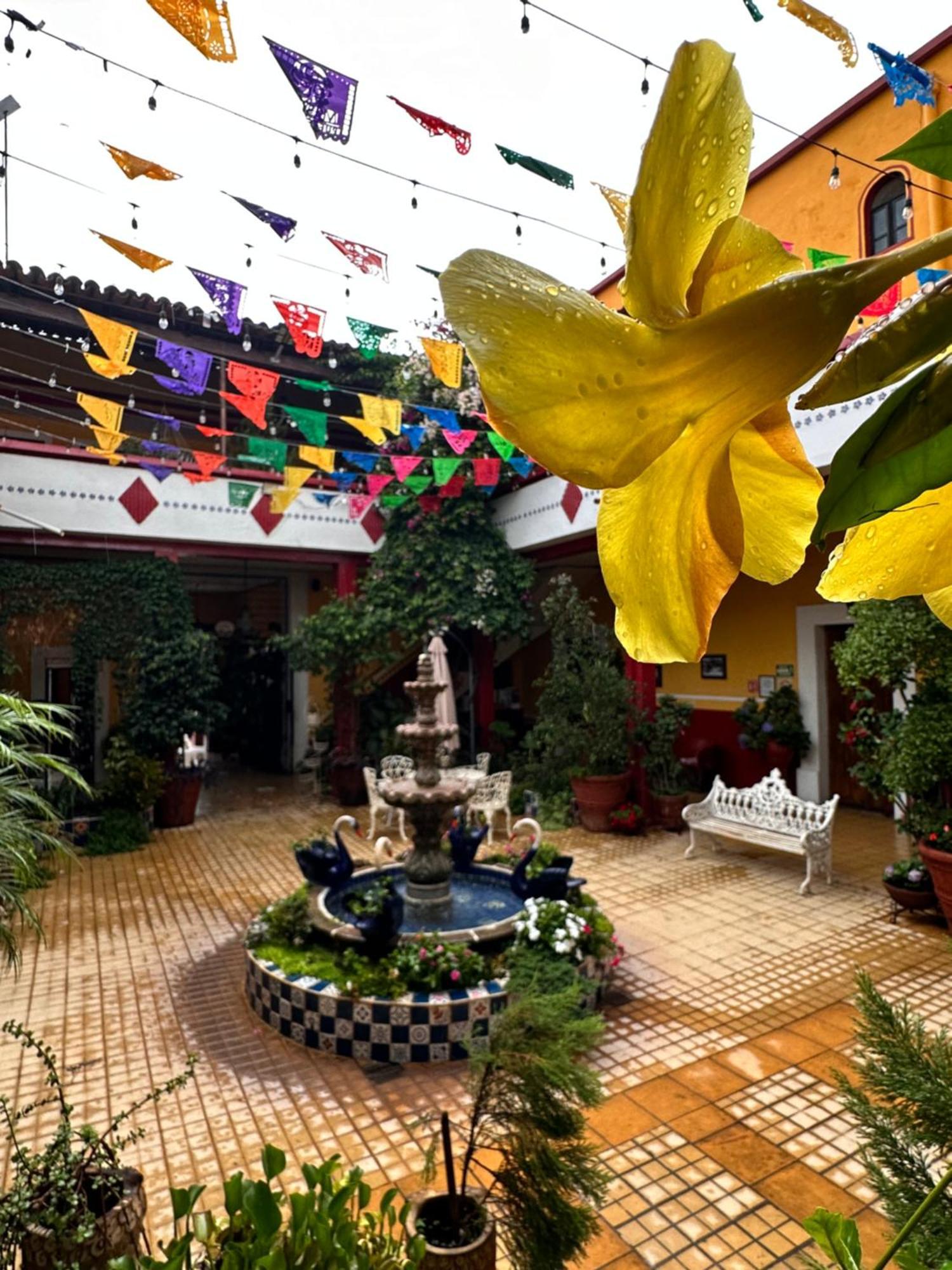 Copa De Oro Hotel Boutique Маскота Екстериор снимка