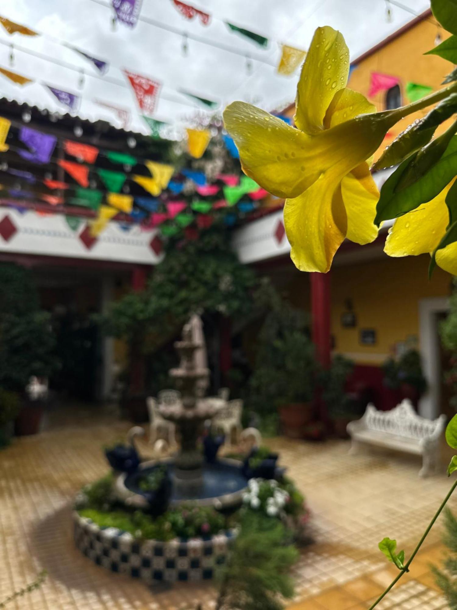 Copa De Oro Hotel Boutique Маскота Екстериор снимка